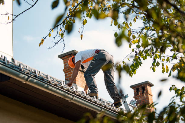 Best Metal Roofing Contractor  in Ruch, OR